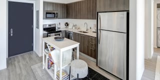 Alea Miami Gallery 12