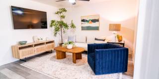 Lyv Austin Gallery 4