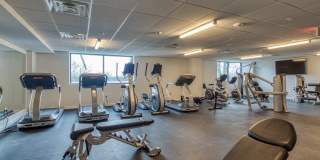 Shiplock Views Gallery 12