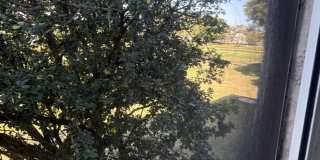 4602 Martinique Way Gallery 23