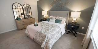 Palmetto Place Gallery 4