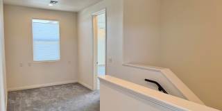 Incredible 4 Bed 3 Bath Home In Sage Estates!!! Gallery 19