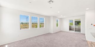 12162 Diamond Dust Dr. 12162 Diamond Dust Dr. Gallery 7