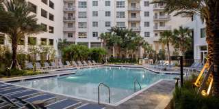 Tortoise One Gallery 39