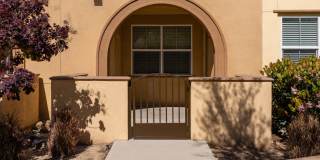 Paseos At Magnolia Luxury Apartment Homes Gallery 60