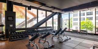 The Noble Gallery 12