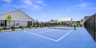 Dupont Meadows Gallery 6