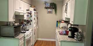 121 Villagegreen Court Gallery 8