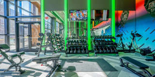 The Chelsea Gallery 14