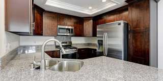 Remodeled 3 Bed Penthouse Condo Gallery 3