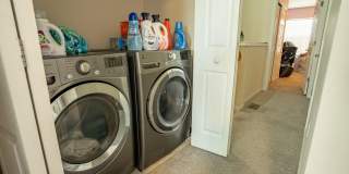 6794 ARCHING BRANCH Circle Gallery 14