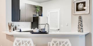 Regent's Park Gallery 5