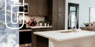 Elevation San Tan Gallery 10