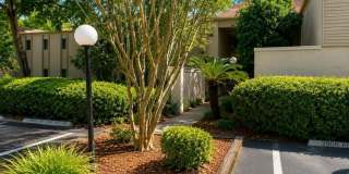 3236 S SEMORAN Boulevard Gallery 3
