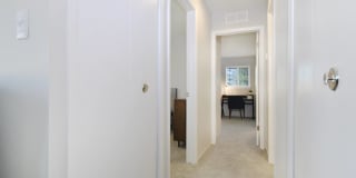 The Maxwell Gallery 22