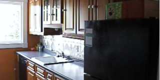 402 S Eagleson - 3bed/1 bath - Walking distance to campus! Gallery 6