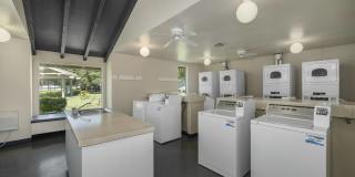 Pinecrest Apartments Gallery 23