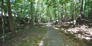 240 Beechtree Dr Gallery 26
