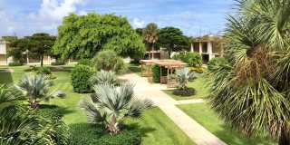 Cynthia Gardens Gallery 2