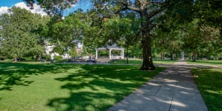 Cronin's Landing Gallery 66