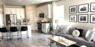 732 Sage Forest Lane Gallery 4