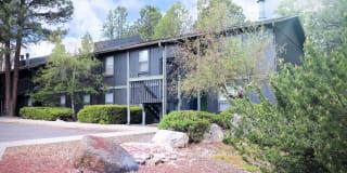 The Place At Forest Ridge Apartments Gallery 4