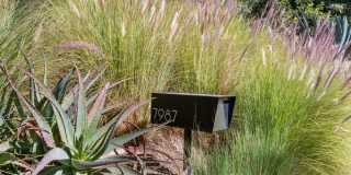 3 Bed / 3 Bath Private Mid-Century Oasis with Pool, Detached Studio & Canyon Views Gallery 45