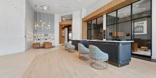 Alta Nova Gallery 29