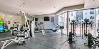 Radius Turtle Creek Gallery 13