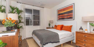 Vineyards Gallery 133