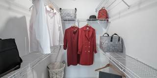 Altis Grand Lake Willis Gallery 10
