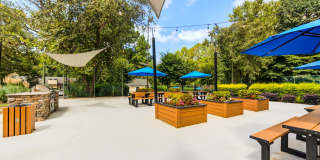 Laurel Oaks Gallery 6