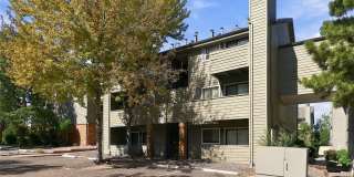 Remodeled studio OVERLOOKING POOL Gallery 1