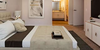 Juniper Apartments Gallery 4