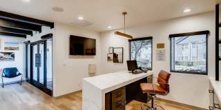 The Harlow Gallery 42