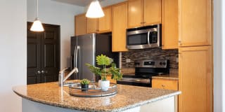 AMLI 300 Gallery 16