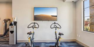 Tesoro Ranch Gallery 23
