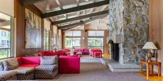 Sunny Studio in Resort Setting on the Bay 15 minutes from SF Gallery 28