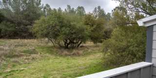 Sierra Oaks – North Gallery 57