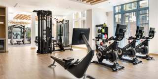 Springline Menlo Park Gallery 36