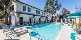 Hensley at Corona Pointe Gallery 24