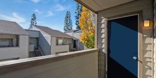 Aspire Rialto Gallery 27