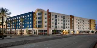 Aston at Gateway Gallery 4