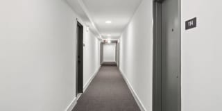 Horizon Gallery 256