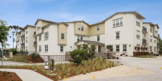 Arrive Los Carneros II Gallery 5