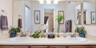 1341 E Ellis Drive Gallery 19