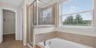 Large 4 bedroom home in Oakleaf Gallery 27