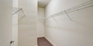 Arrive Lex Gallery 67