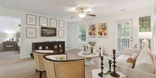 Hollis 7601 Gallery 27