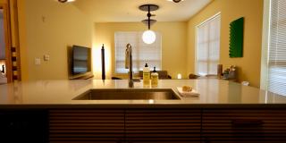 Settlement Place Gallery 317